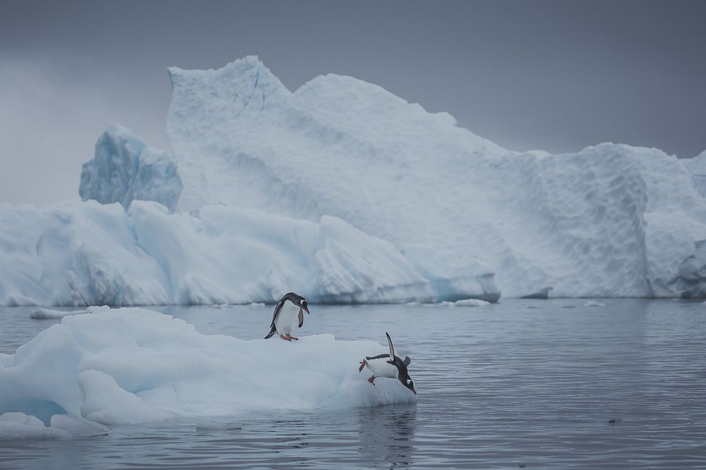 Photograph by Марина Маликова