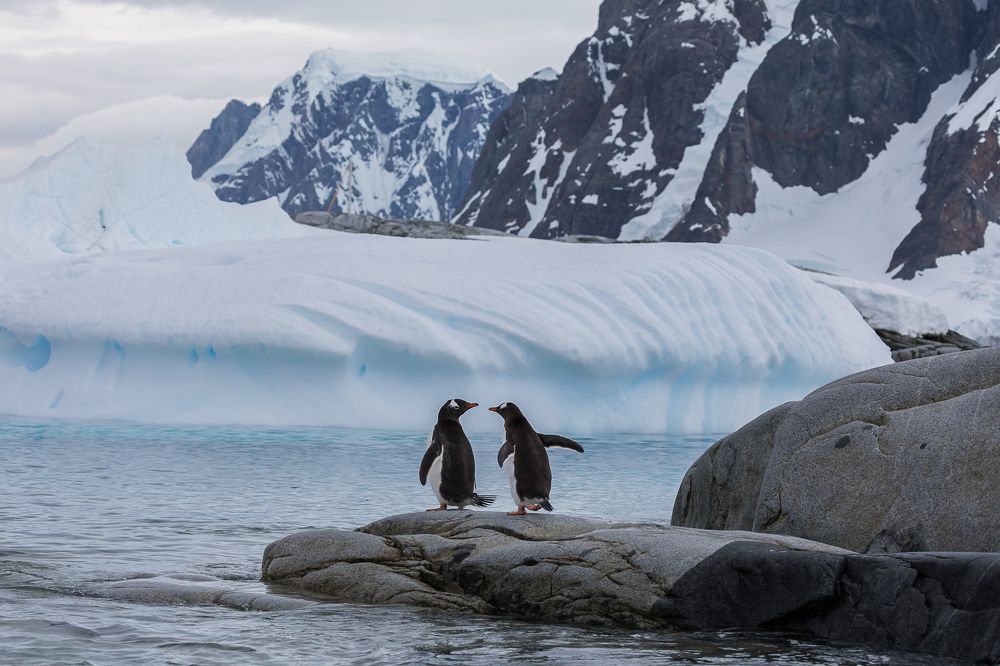 Photograph by Марина Маликова