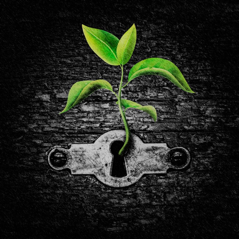 Keyhole / Замочная скважина