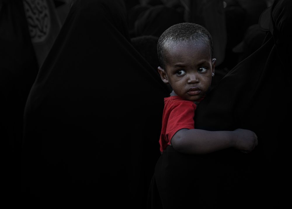 Фотография автора Mohammed Alhusseini