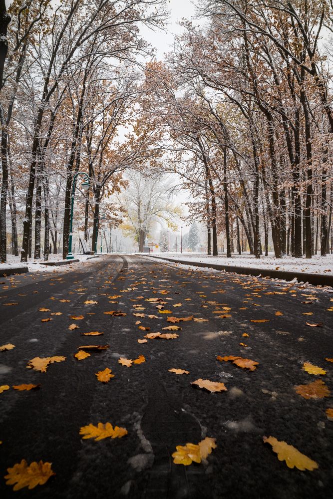 Photograph by Павел