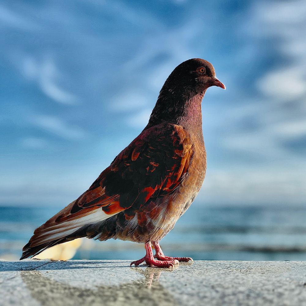 Photograph by Козинец Александр