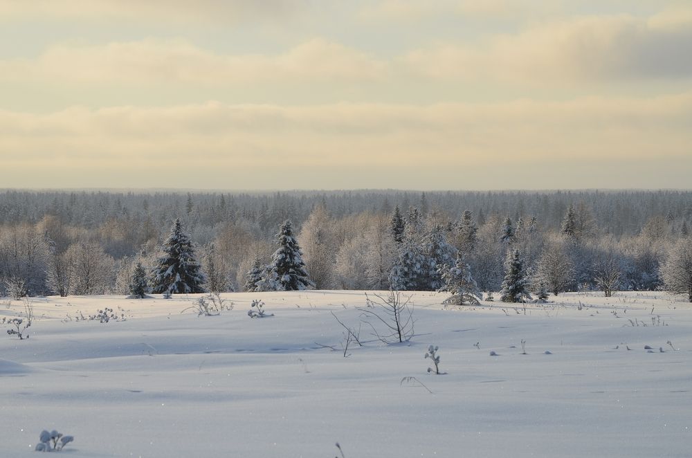 Photograph by Галина Катанова