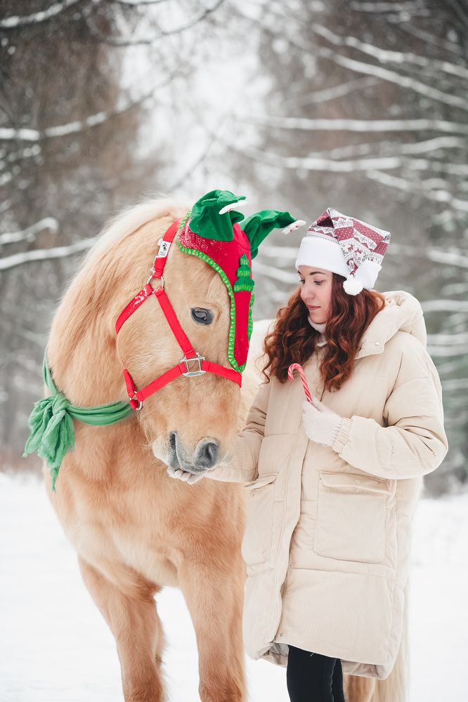 Photograph by Полина Фрольцова