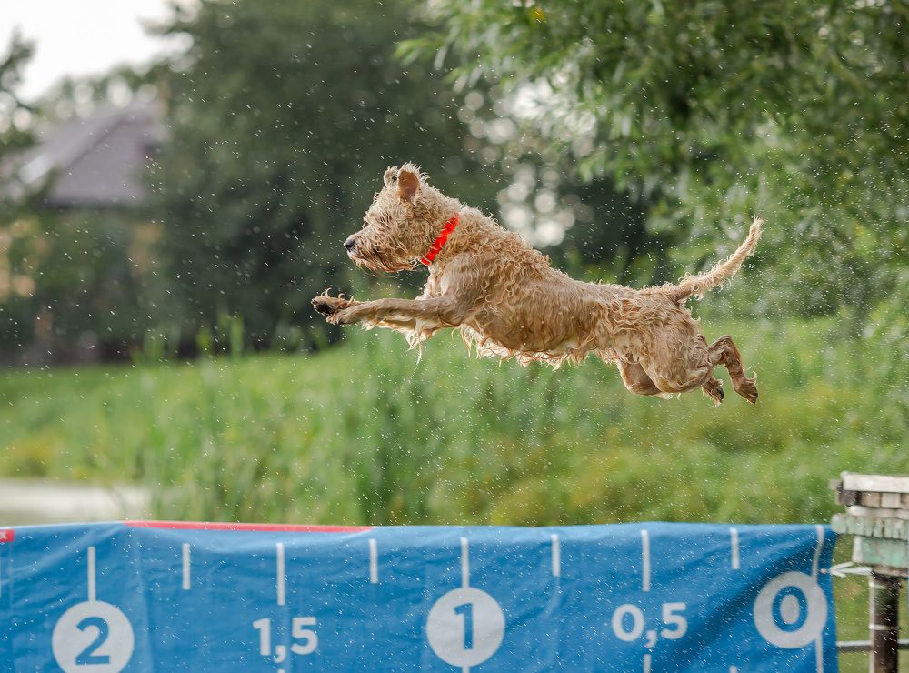 Фотография автора Yulia  Maximova