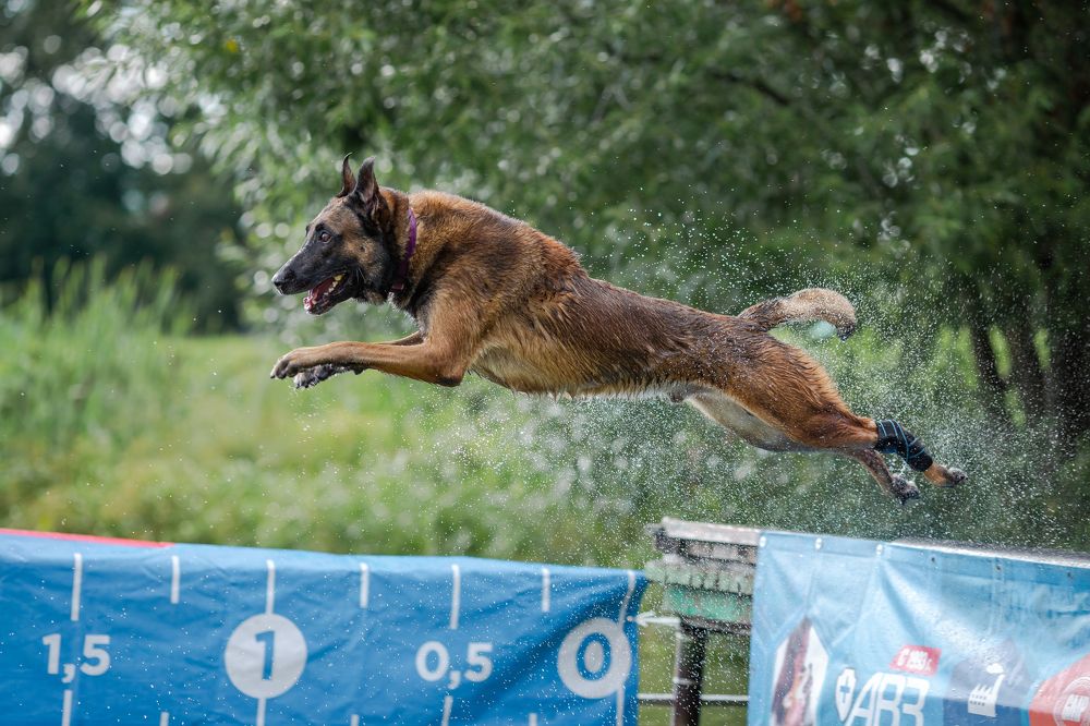 Фотография автора Yulia  Maximova