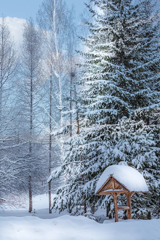 Photograph by Иван Логвинов