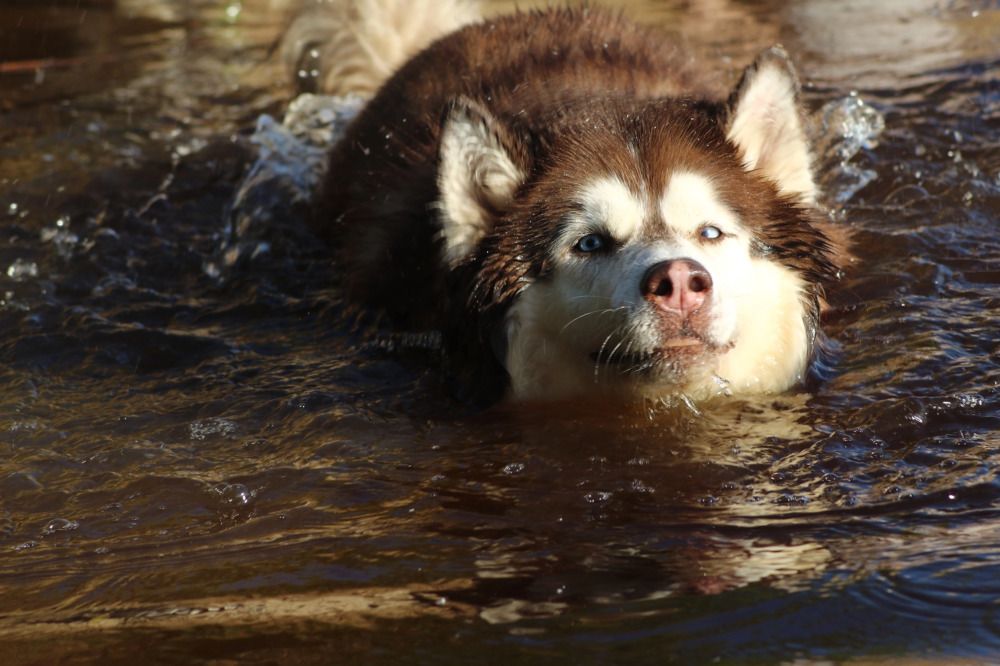 Photograph by Елена Наленч