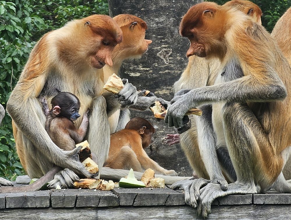 Photograph by Вадим Богатиков