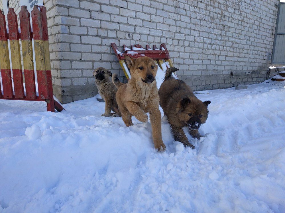 Photograph by Анастасия Кудина