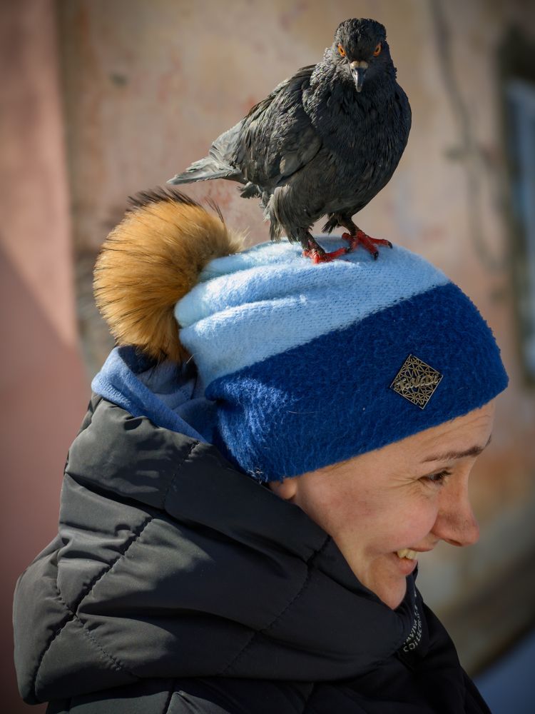 Photograph by Brook Zorg [DeD]