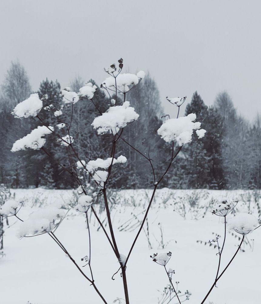 Photograph by Татьяна Михайловна