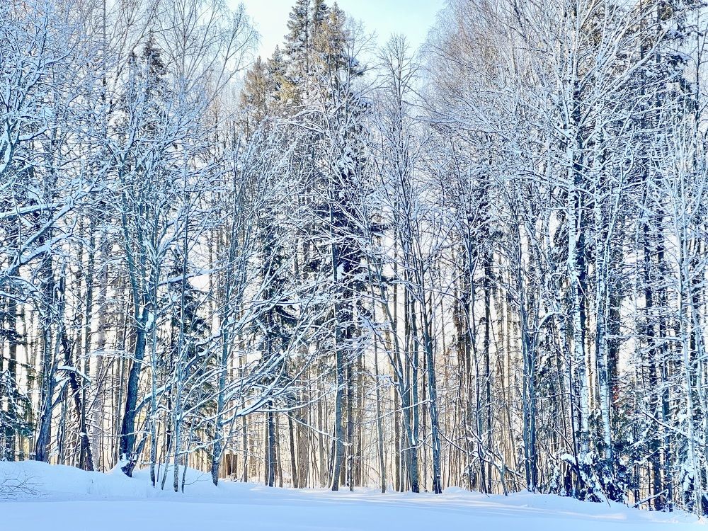 Photograph by Татьяна Михайловна