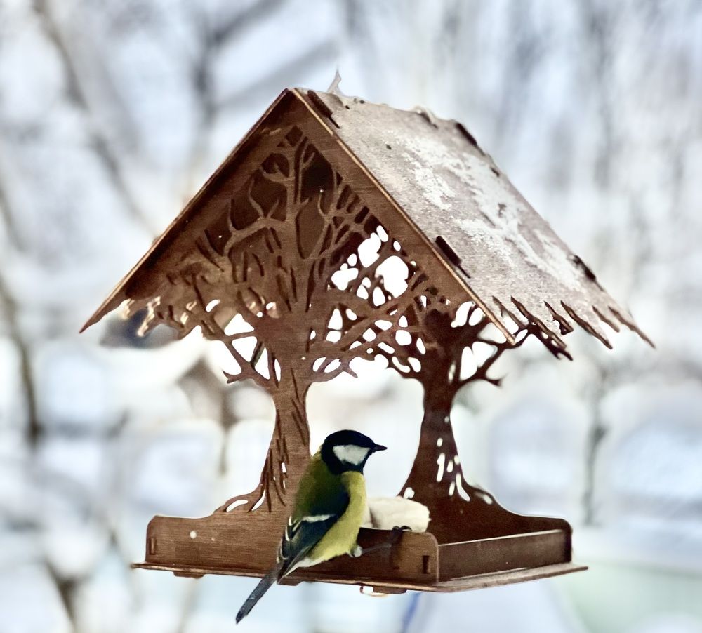 Photograph by Татьяна Михайловна