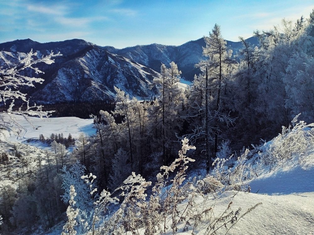 Photograph by Ольга Юминова