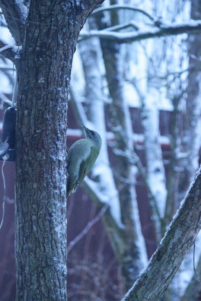 Photograph by Екатерина Александровна