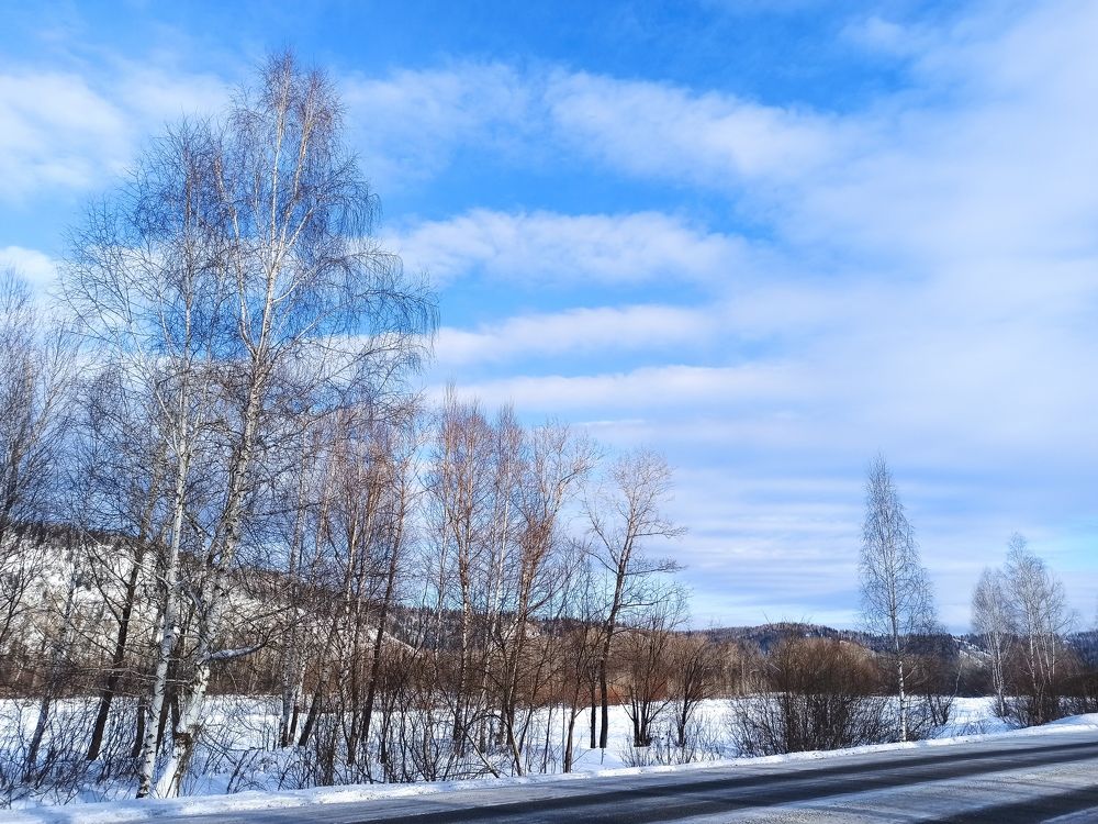 Фотография автора Александр Осинцев