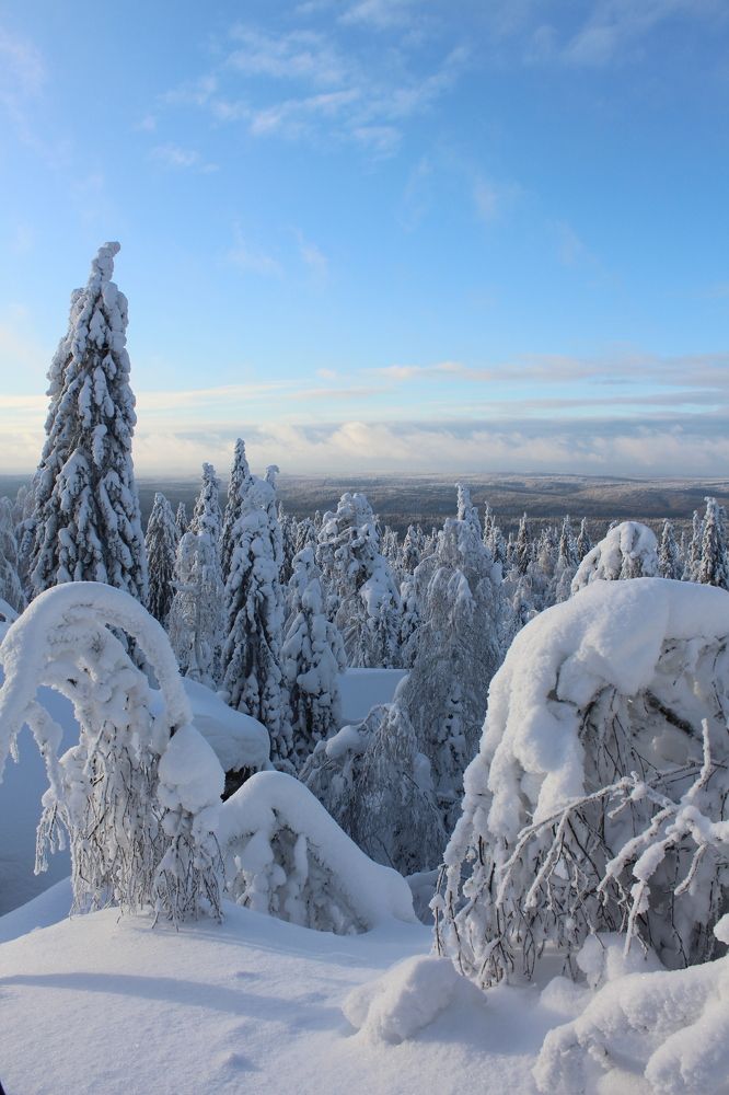 Photograph by Елена Карпухно