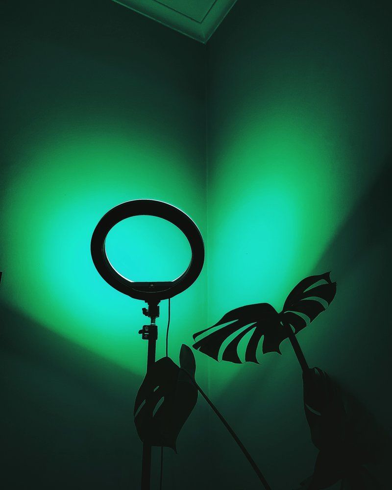 Photograph by Вячеслав Щёголев