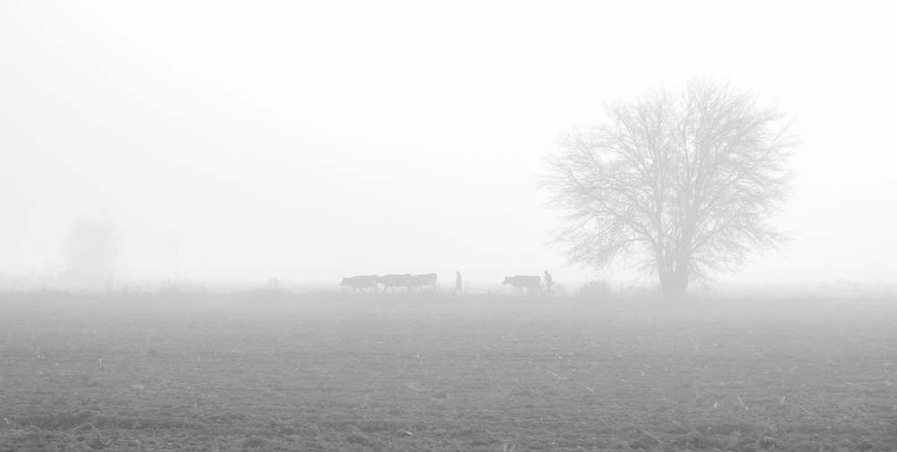 Photograph by  SaidArt