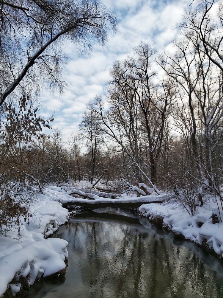 Photograph by Ярославна