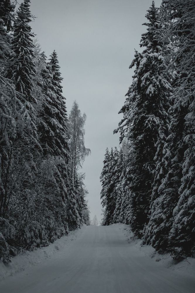 Фотография автора Fallen Angel