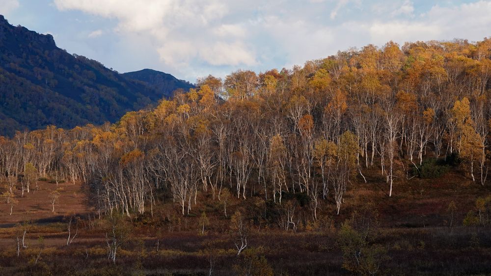 Photograph by Олег Смурыгин