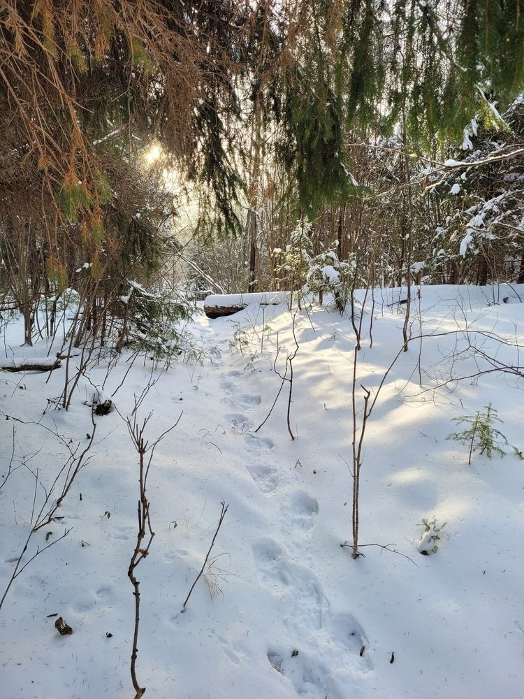 Photograph by Татьяна Глухова