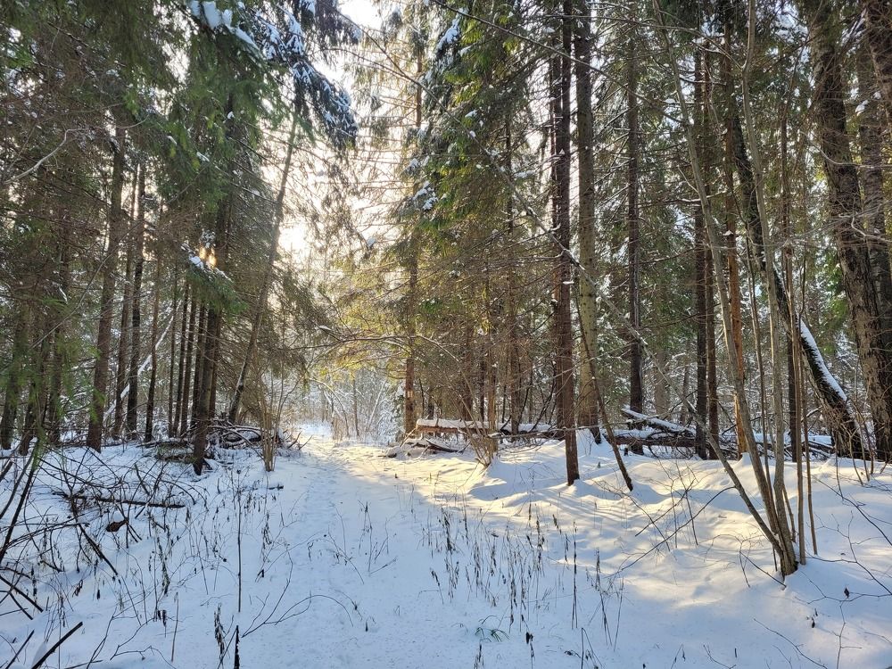 Photograph by Татьяна Глухова