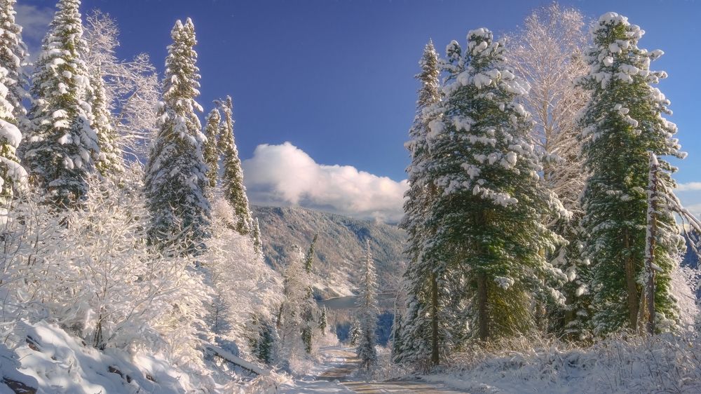 Photograph by Шварцман Евгений