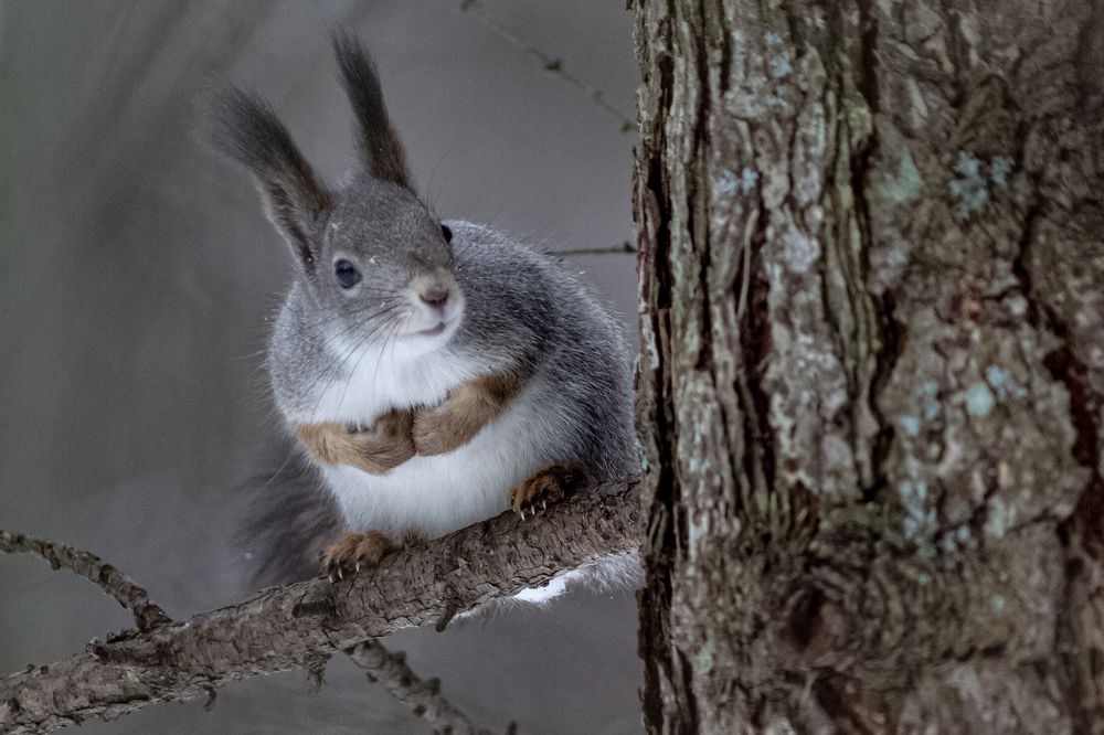 Photograph by Сергей Коклин