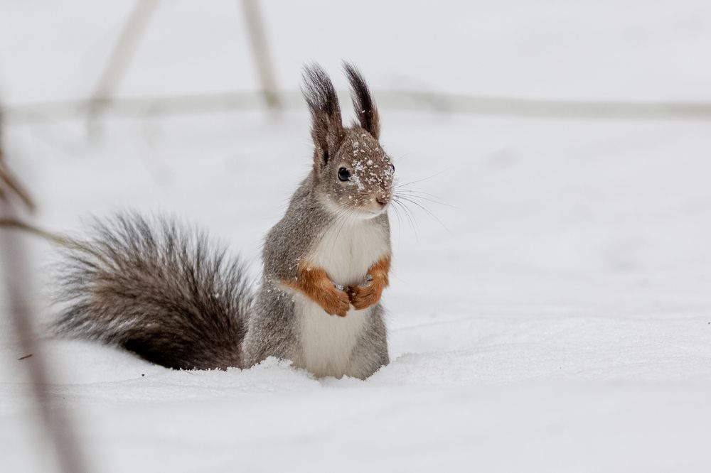 Photograph by Сергей Коклин