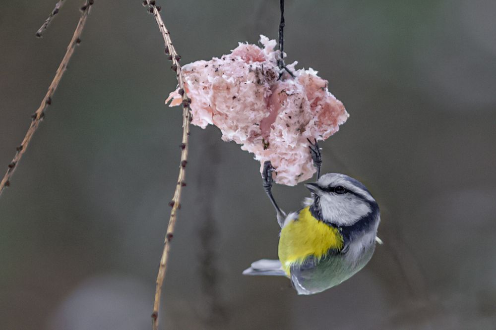 Photograph by Сергей Коклин