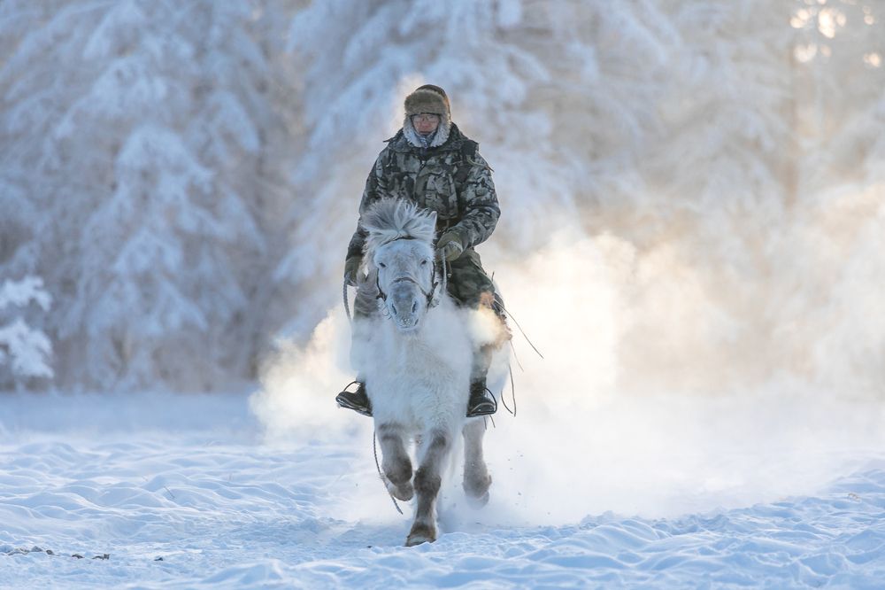 Photograph by Потапов Михаил