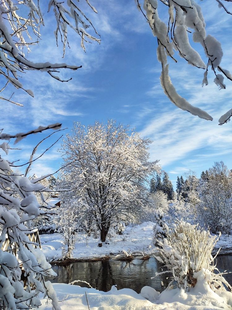 Photograph by Татьяна