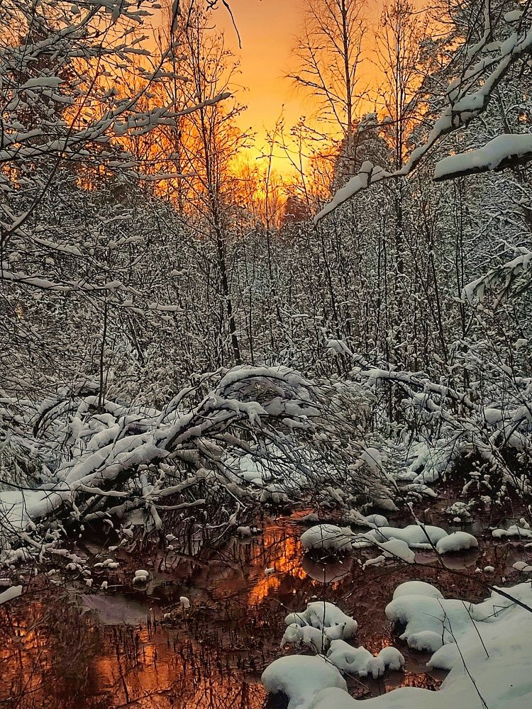 Photograph by Татьяна