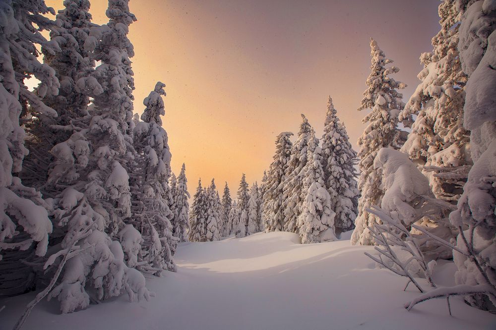 Photograph by Кочкин Владимир