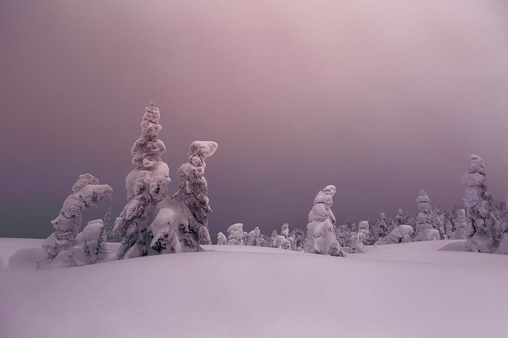 Photograph by Кочкин Владимир