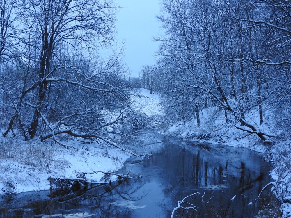 Фотография автора YURY RAMITSAN