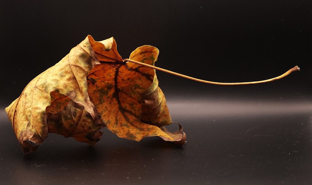 Photograph by Денис Володин