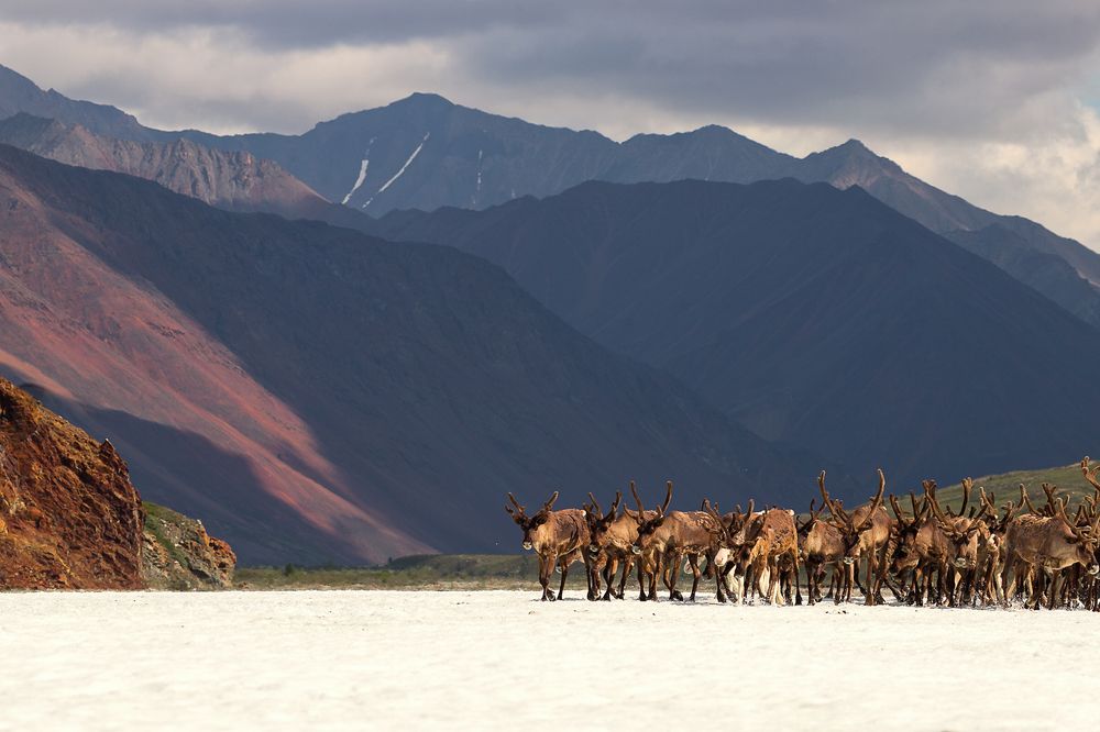 На стойбище