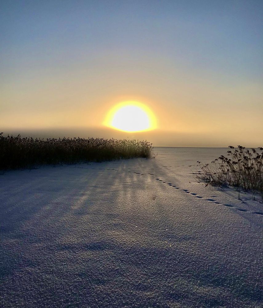 Photograph by Ирина Данилова