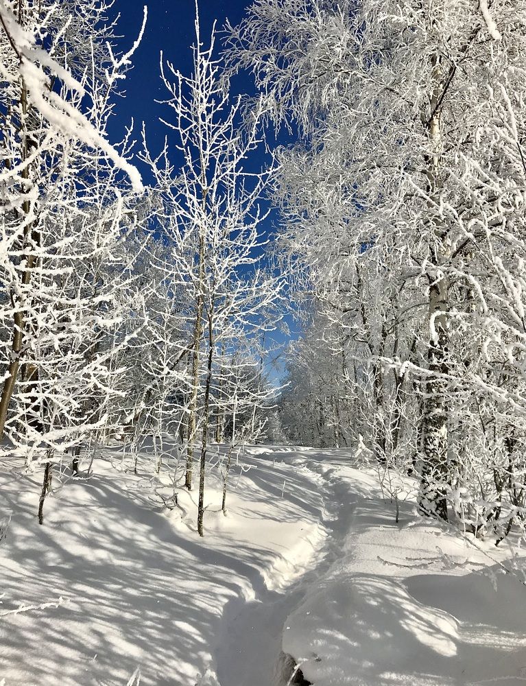 Photograph by Ирина Данилова