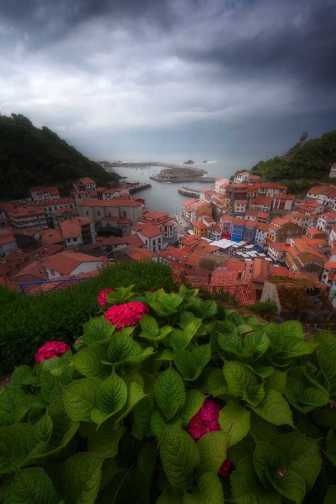 Photograph by Camacho Anto