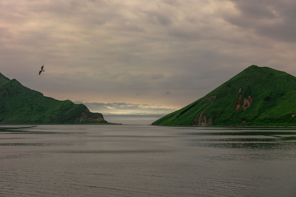 Photograph by Alexey Nikitin