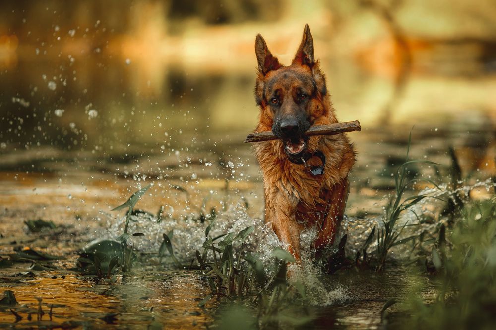 Photograph by Онучина Юлия