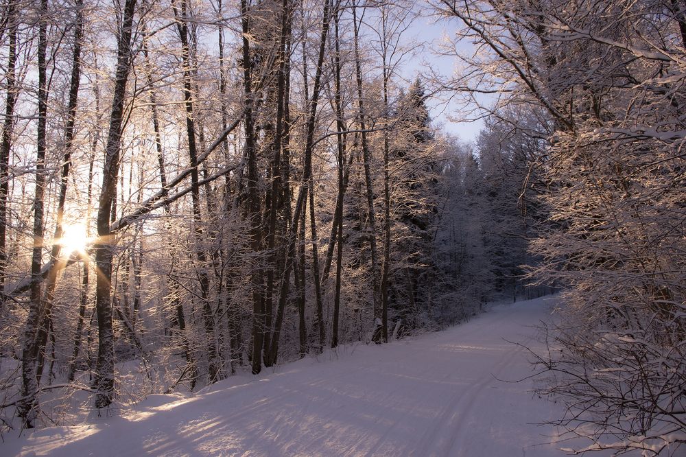 Photograph by Бурикова Екатерина