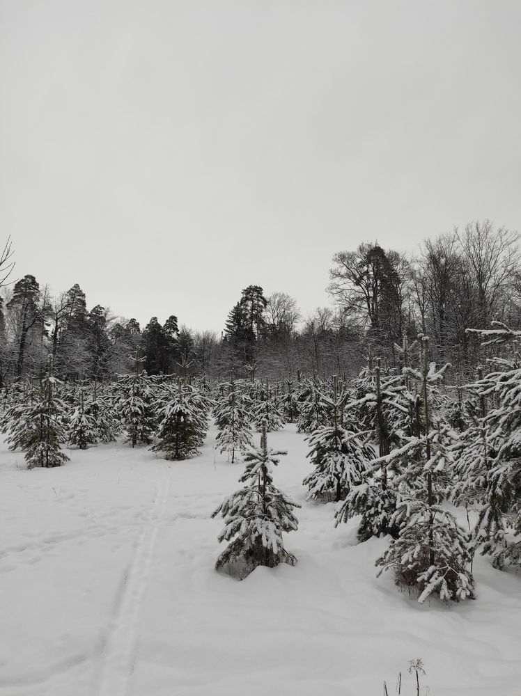 Photograph by Вячеслав Щёголев