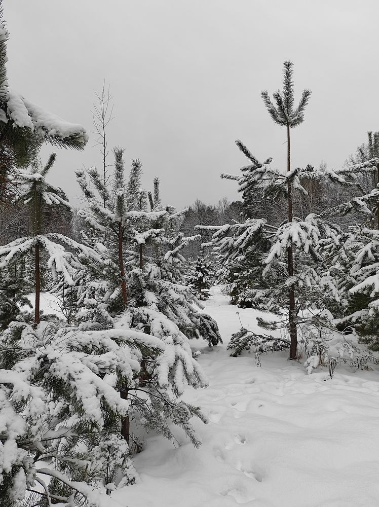 Photograph by Вячеслав Щёголев