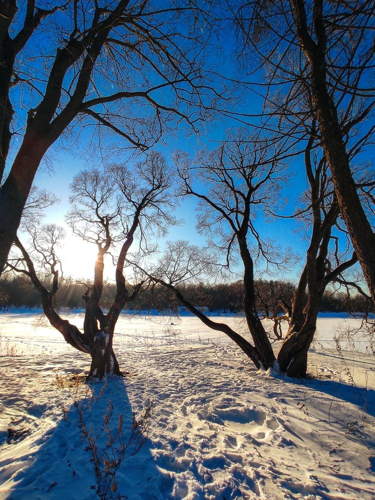 Photograph by Вячеслав Щёголев